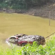 Illustration for article titled Homeowners' Association Finds Stolen Mud-Filled 1983 Pontiac Firebird At The Bottom Of A Lake